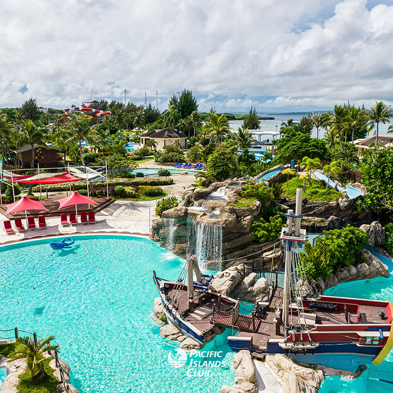 Shark Activity Pool